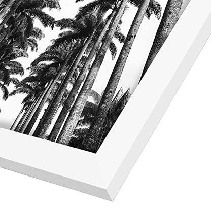 22x28 Poster Frame