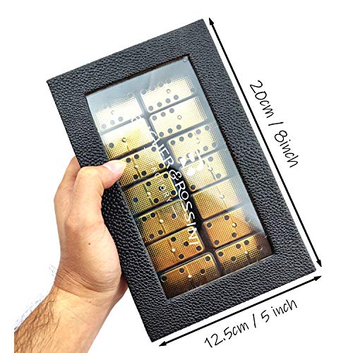 Metal Surface Dominoes Set Double 6 for Adults and Kids
