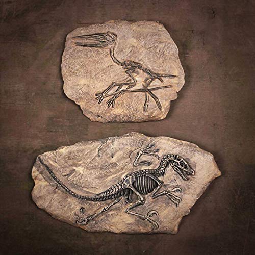Resin Dinosaur Fossil Statue Model Simulated Skeleton Home Office Display Decorative Craft Box Decoration