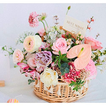 3PCS Floral Foam Bricks