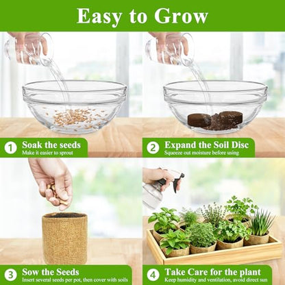 Indoor Herb Garden Kit