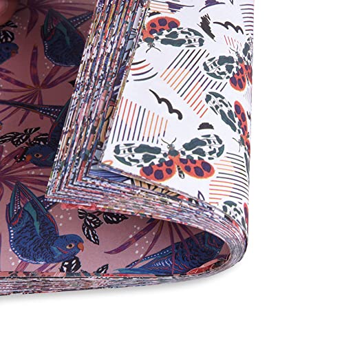Origami Paper Kit 50 Sheets