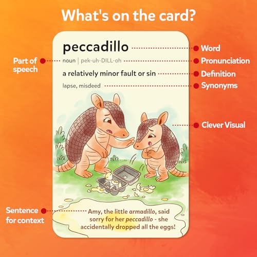 Vocabulary Flash Cards