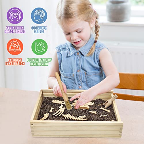 Dinosaur Excavation Archaeology Dig Kit for Kids