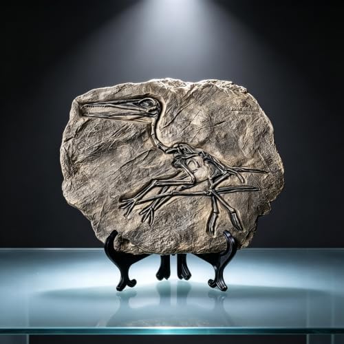 Resin Dinosaur Fossil Statue Model Simulated Skeleton Home Office Display Decorative Craft Box Decoration