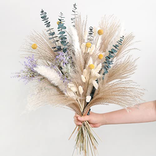 Natural Dried Pampas Eucalyptus Rabbit Tail Grass (66 Count)