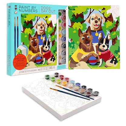 iHeartArt Paint by Numbers Kit