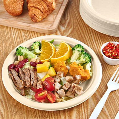 500 Pack Compostable Bagasse Paper Plates 9 inch (500 Count)