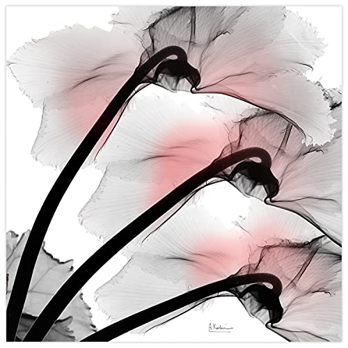 Frameless Free Floating Tempered Glass Panel Graphic Wall Art Ready to Hang