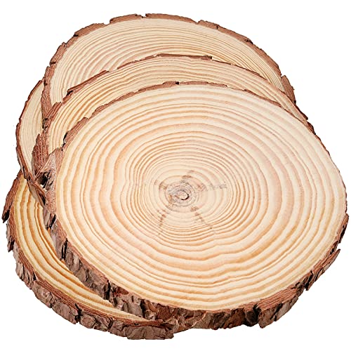 12 PCS 5.5 5.9 Inches Natural Unfinished Wood Slices (12 Count)
