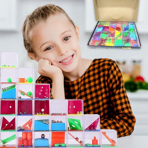 24 PCS Brain Teaser Puzzles for Kids (24 Count)