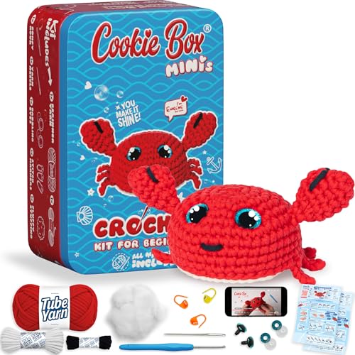 Crochet Kit for Beginners