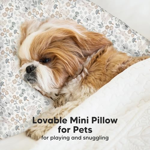 Mini Toddler Pillow with Pillowcase