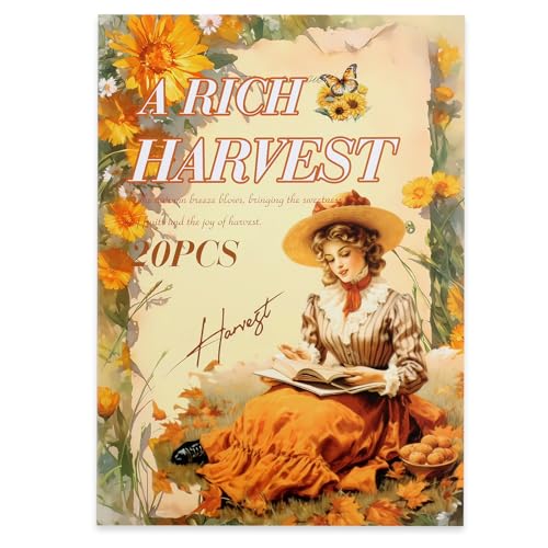 Scrapbook Stickers 20 Sheets 240 Pre