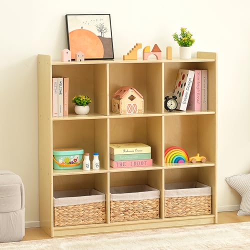 9 Cube Storage Organizer