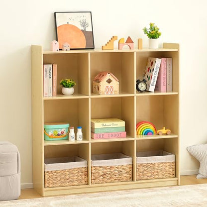 9 Cube Storage Organizer
