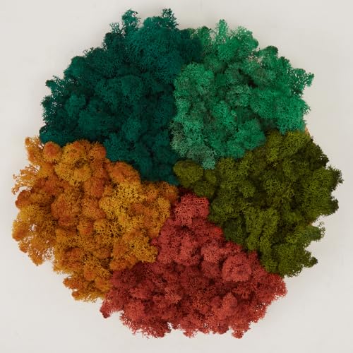 Preserved Reindeer Mix Craft Moss Natural Green DIY Kit Gardenning Art Wall Decor Florist Easter Table Decor Wedding Decor