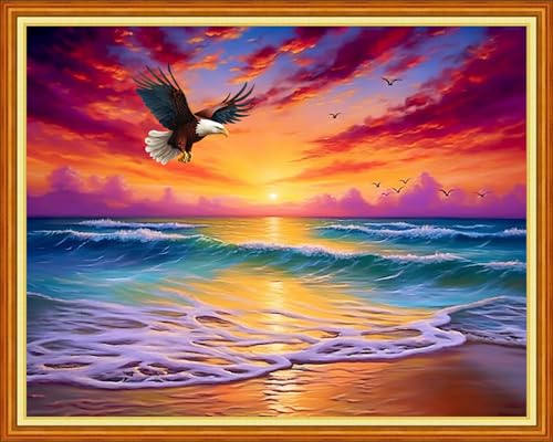 Cross Stitch Kits for Adults Beginners