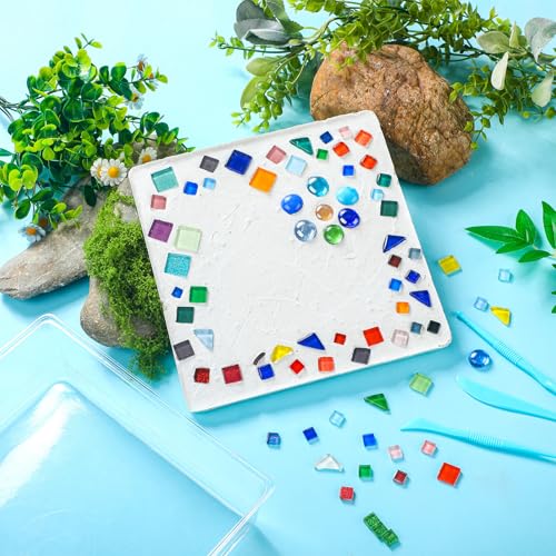 24 Pcs Stepping Stone Kit Includes Concrete Mold (24 Count)