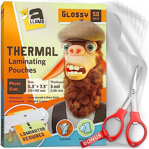 Thermal Laminating Pouches (30 Count)