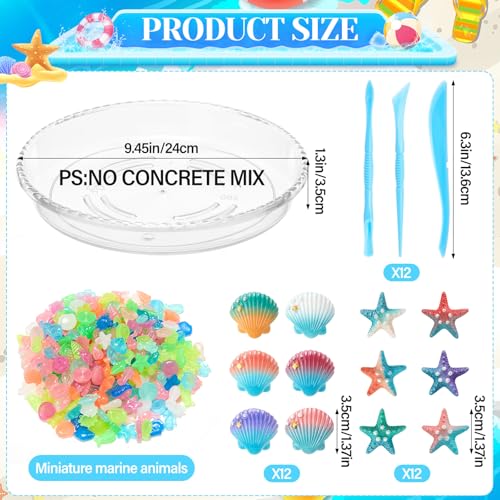 12 Kit DIY Stepping Stone Mold 10 Inch for Garden (12 Count)