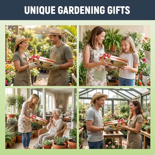 Bonsai Tree Kit (5 Count)