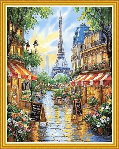 Stamped Cross Stitch Kits for Beginner Embroidery Kits for Beginners Adults DIY 11CT Cross Stitch Patterns Needlepoint Kits Crossstitching Kits