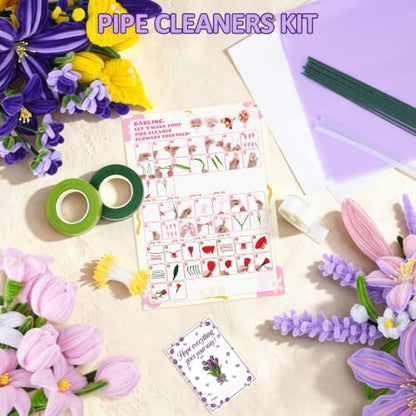 600 PCS Pipe Cleaner Craft