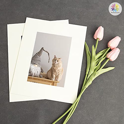 Mat Board Center 10 Pack 8x10 Photo Mats for 5x7 Picture