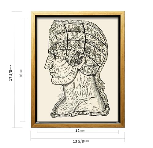 A Symbolic Head Phrenology Print 1899