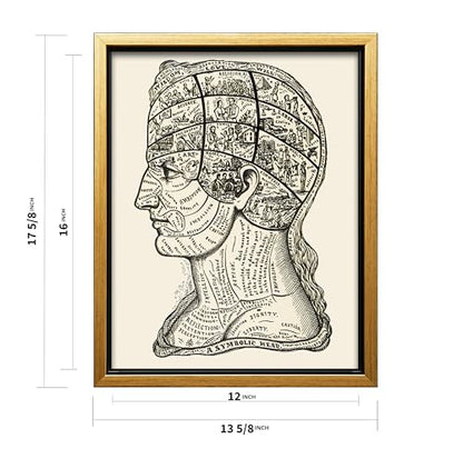 A Symbolic Head Phrenology Print 1899