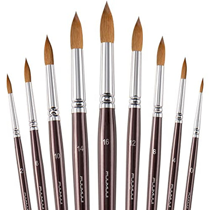Sable Watercolor Brushes 9pcs Professional Superior Kolinsky Watercolor Paint Brushes for Artists Round Pointed Oval Wash for Watercolor Acrylics Gouache Inks Painting