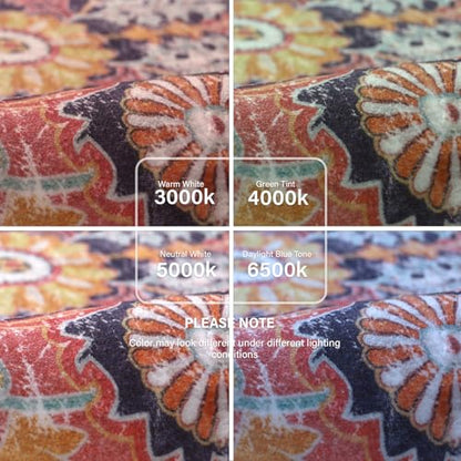 Reine 8x10 Area Rugs for Living Room
