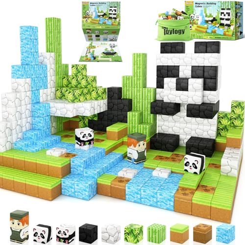 Magnetic Blocks (70 count)