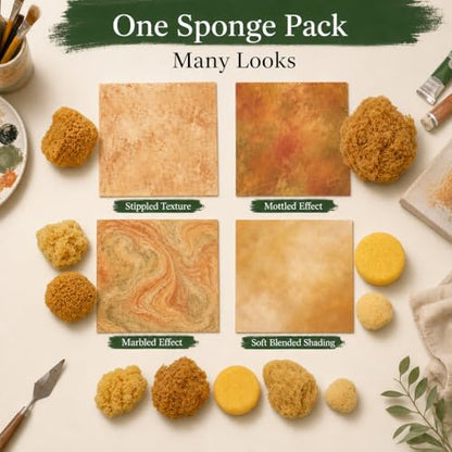 Natural Sea & Synthetic Sponges 7pk (7 Count)