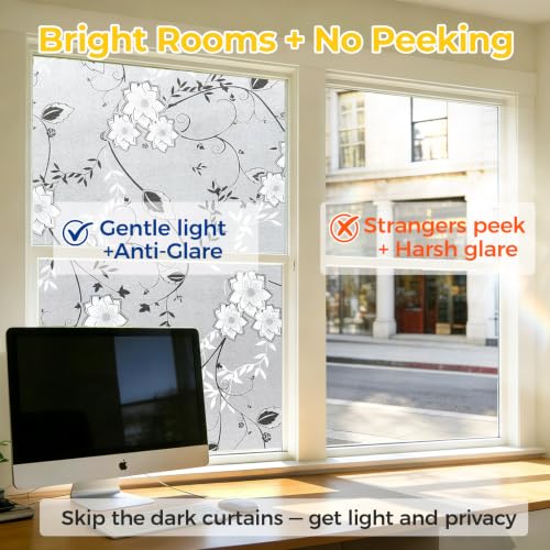 Window Privacy Film Decorative for Front Door