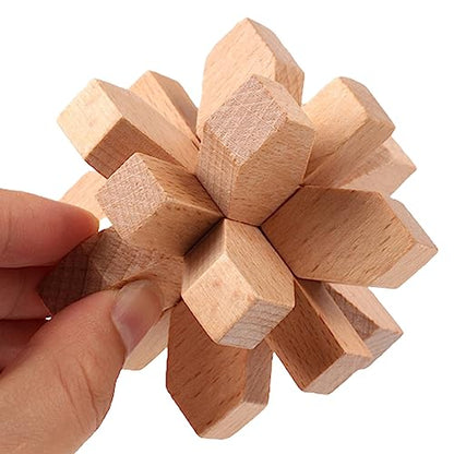 9pcs Wooden Brain Teaser Puzzles (9 Count)