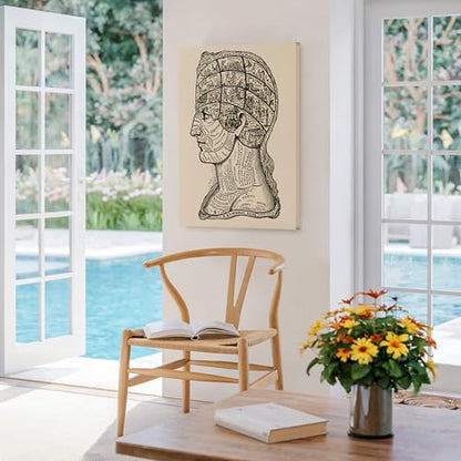 A Symbolic Head Phrenology Print 1899