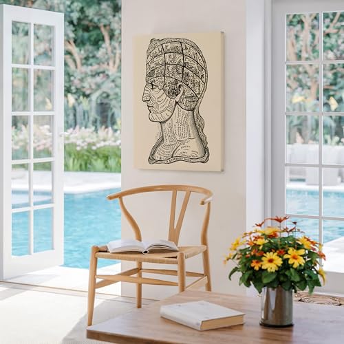 A Symbolic Head Phrenology Print 1899