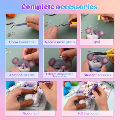 Needle Felting Kit