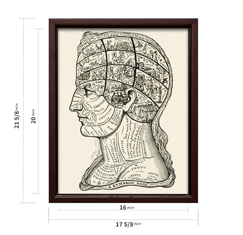 A Symbolic Head Phrenology Print 1899