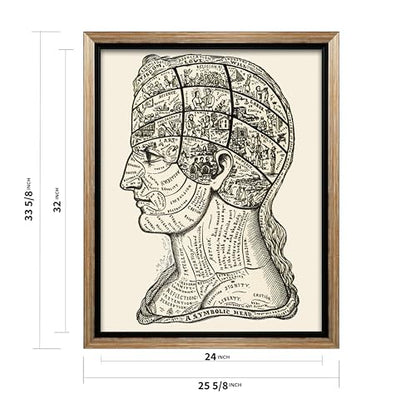 A Symbolic Head Phrenology Print 1899