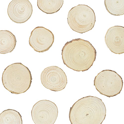 Mini Assorted Size Natural Color Tree Bark Wood Slices Round Log Discs for Arts & Crafts (20 Count)