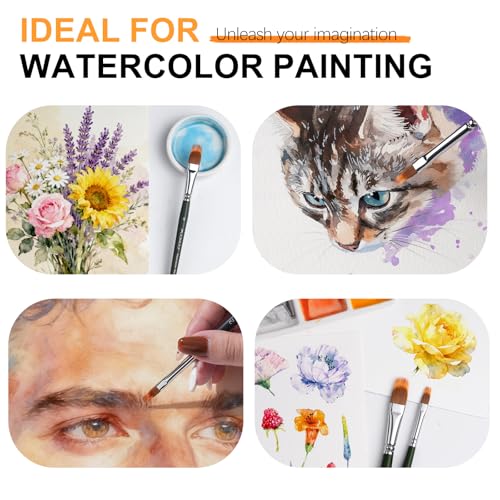 5Pcs Dual Layer Grainer Paint Brush Set (5 Count)