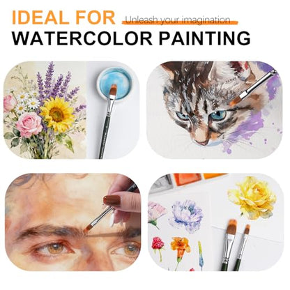 5Pcs Dual Layer Grainer Paint Brush Set (5 Count)