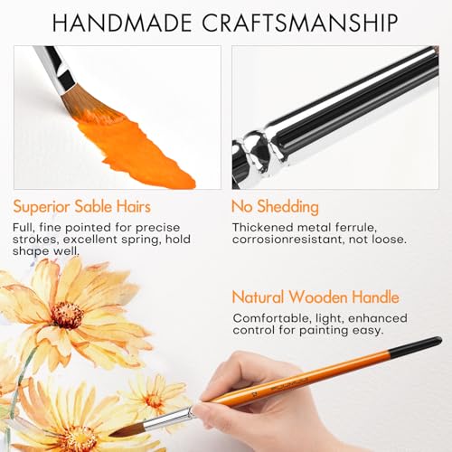 Sable Watercolor Brushes Kolinsky Watercolor Paint Brushes for Artists Professional 6pcs (6 Count)