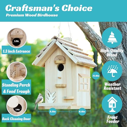 DIY Birdhouse Building Kit for Adults (2 Pound)