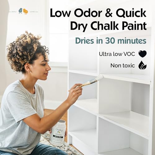 Buttermilk 4 Fl Oz Chalk Paint for Furnitur All in One