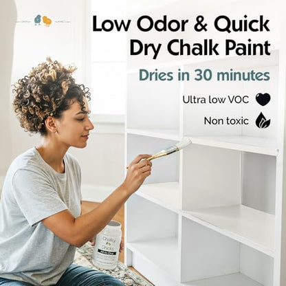 Buttermilk 4 Fl Oz Chalk Paint for Furnitur All in One