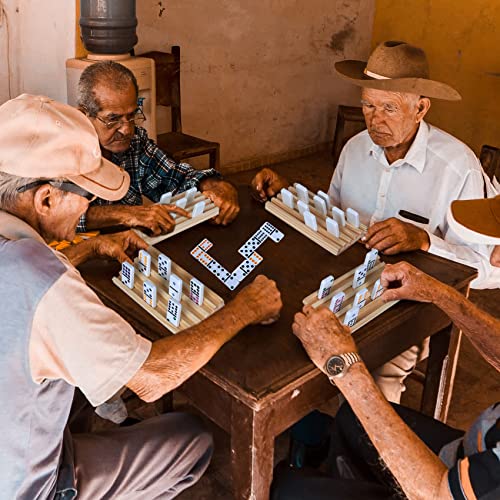 Double 6 Color Dot Dominoes Set with 4 Wooden Trays